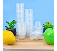 SLTAXAR Vasos de Chupito de Plástico Transparente 30ml/3cl - 100 Piezas Reutilizables para Tequila, Vodka, Whisky