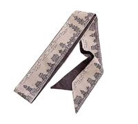 SLXLYH Bufanda de sensación de seda para mujer, cinturón delgado, corbata, bufanda para niñas, accesorios para fotos, pañuelo (E.)