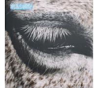 SMAG PA DIG SELV - THIS IS WHY WE LOST [Vinilo]
