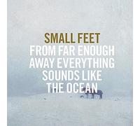 Small Feet - From Far Enough Away Everything Sounds Like The Ocean [Vinilo]