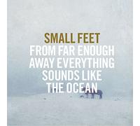 Small Feet - From Far Enough Away Everything Sounds Like [Vinilo]