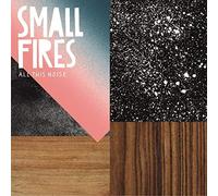 Small Fires - All This Noise [Vinilo]