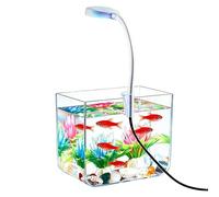 Small Fish Tank - Compact Aquatic Display, Desktop Enclosure for Living Space, Betta Habitat with Clip Lights, Clear Base, Aquatic Decor, Mini Aquarium for Beginner Adults and Kids Fishkeeping