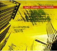 Small Flowers Crack Concrete - Build Me A Brand New Sky