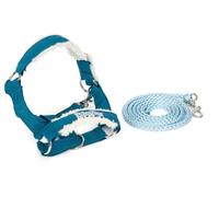 small foot Bibi & Tina Hobby Horse: Juego de Cabestro Amadeus, a Partir de 3 años
