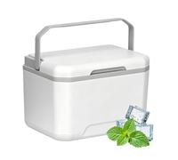 Small Hard Cooler- 5L Portable Ice Box, 25.2×17.5×18.2cm Insulated Travel coolerfor Outdoor Use | Mini Camping coolerBox for Picnic, Fishing, Beach, Car Trips, PE+PU+PP Material Cold