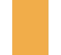 Small Lined Notebook Journal, Pocket-Sized 4 x 6 inches, 100 pages, College Ruled, Solid Color Peach Orange GLOSSY Cover