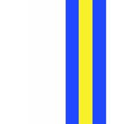 Small Lined Team Colours Notebook: White, Yellow & Blue