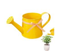 Small Metal Watering Can Indoor Plants - 1L Iron Sprinkler Head Gingham Ribbon Decorative, Precise Watering Durable, Flowers Seedlings Bonsai Lawn | for Home Office Garden Outdoor