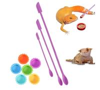 Small Silicone Reptile Feeder Set 9 Pieces Reusable Dishes with Spoon | Hermit Crab Water Container for Crested Lizard Snake Turtle Tortoise Frog Hermit Crab Snail Home and Terrarium
