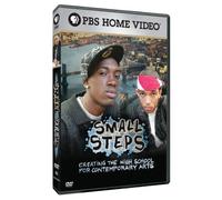 Small Steps: Creating High School for Contemporary [Reino Unido] [DVD]