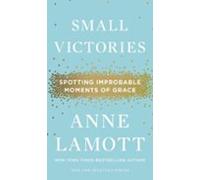 Small Victories (ebook)