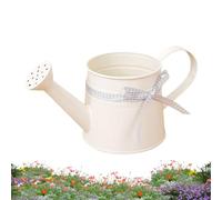 Small Watering Can - 1L Metal Decorative Sprinkler Pot, Modern Plant Watering | Stylish Indoor Outdoor Gardening Tool Design, Efficient Waterings Accessory for Home Office Balcony Garden Bonsai Flower