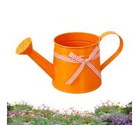 Small Watering Can, Easy Pour Garden Jug, 1L Watering Can Indoor for with Long Spout Precision, Flower Succulents Mister, Garden Tool, Seedling Waterings Jug for Indoor & Outdoor Plant Care