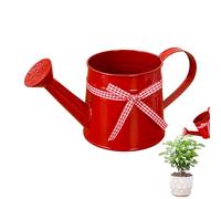 Small Watering Can, Easy Pour Garden Jug, 1L Watering Can Indoor for with Long Spout Precision, Flower Succulents Mister, Garden Tool, Seedling Waterings Jug for Indoor & Outdoor Plant Care