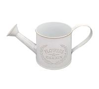 Small Watering Can - for Indoor Plants with Spout and Handle Jug