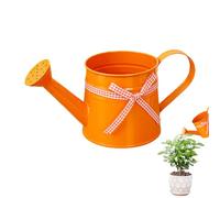 Small Watering Can, Indoor Plant Watering Can, Garden Waterer Pot, Modern Flower Jug, Decorative Indoor Plant Waterer, 1L Metal Garden Sprinkler Pot with Long Spout for Precise Pouring for Home Plants