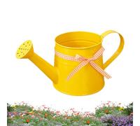 Small Watering Can, Indoor Plant Watering Can, Garden Waterer Pot, Modern Flower Jug, Decorative Indoor Plant Waterer, 1L Metal Garden Sprinkler Pot with Long Spout for Precise Pouring for Home Plants
