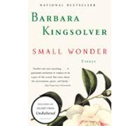 Small Wonder (ebook)