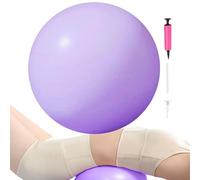 Small Workoout Ball - Anti Burst Inflatable Fitness Balls, 9,84 pulgadas Portable Workout Stability Ball, Entrenamiento Balls, Yoga Pilates Rehab Ejercise for Stretching, Barra, Home Gym