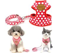 SMALLLEE_Lucky_Store - Arnés Estilo Chaleco para Perro (Talla L)