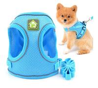 SMALLLEE_LUCKY_STORE Arnés y correa de malla suave para perros y gatos pequeños para caminar, a prueba de escape, reflectante, color azul, talla S
