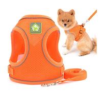 SMALLLEE_LUCKY_STORE Arnés y correa de malla suave para perros y gatos pequeños para caminar, a prueba de escape, arnés reflectante para cachorros, color naranja, talla S
