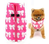 SMALLLEE_LUCKY_STORE Chaleco Chaqueta de Invierno Resistente al Agua para Mascotas con Anilla en D para Perros Pequeños Gatos con Cremallera Acolchado Abrigo para Cachorros Chihuahua Yorkie Gatito