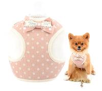SMALLLEE_LUCKY_STORE Dots Bow - Juego de arnés y correa suave para perros pequeños y medianos de malla acolchada y ajustable para gatos para caminar al aire libre, rosa, M