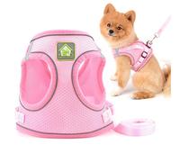 SMALLLEE_LUCKY_STORE Juego de arnés y Correa de Malla Suave para Perros y Gatos pequeños para Caminar, Chaleco Reflectante para Cachorros, Entrenamiento al Aire Libre, Rosa, Talla XS