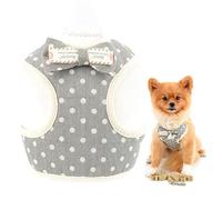SMALLLEE_LUCKY_STORE Juego de arnés y correa para cachorros suaves con lazo de puntos para perros pequeños y medianos, de malla acolchada y ajustable, chaleco para caminar al aire libre, gris, S