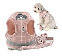 smalllee_lucky_store Plaid arnés con Correa para Perros pequeños y Gatos,Reflectante Ajustable Anti tirones no se escapen,fácil de Poner Chaleco para Cachorros,Rosado,L