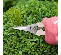 Smandy Tijeras de Jardín, Tijeras de Podar de Acero de Aleación, Podadora de Mano Recta de 7,7 Pulgadas, Dureza de 140 a 144 Fahrenheit, Agarre Ergonómico para Corte de Ramas de árboles Frutales y