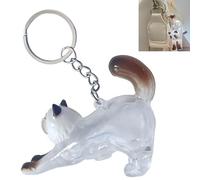 Smaoqingji Caja Recuerdo para Pelo Mascotas - 1 Unidad, Color Transparente, Expositora Recuerdos Gatos Amantes Contenedor Decorativo, Transparente, Adecuada para Guardar Pelo de Gato