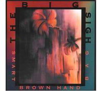 Smart Brown Handbag - Big Sigh