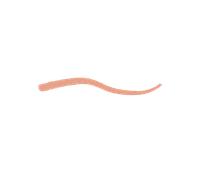 Smart Fusion Lip Pencil 02