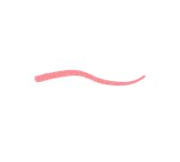 Smart Fusion Lip Pencil - 06 Warm Rose