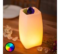 Smart&Green Lámpara de mesa LED Stele con batería recargable controlada por App