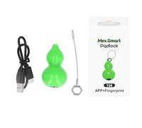 Smart Huella de huellas de huellas USB USB recargable con bloqueo electrónico de huellas dactilares para la puerta para la puerta del gabinete Mochila mochila ABS Bail de cable de (Verde)