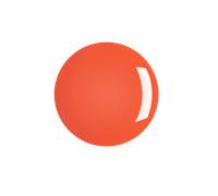 Smart Nail Lacquer 09