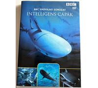 Smart Sharks: Swimming With Roboshark