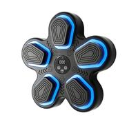 Smart Wireless Electronic Boxing Trainer Wall Mounted | Music Boxing Machine | Interactive Punching Trainer, Workout Punching Music Boxings Target | for Adults, Kids
