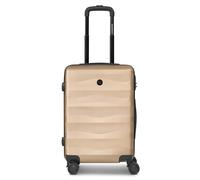 Smartbox Edition 03 4 ruedas Maleta de cabina 55 cm gris