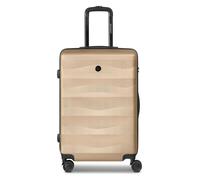 Smartbox Edition 03 4 ruedas Trolley 65 cm gris