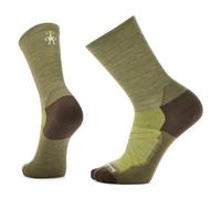 Smartwool Bike Zero Cushion Crew Calcetines, Winter Moss, XL Unisex Adulto