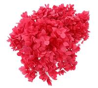 SMASOLO Flores Secas Naturales de Hortensia para Manualidades DIY, Material Floral Inmortal de Color Rojo Intenso, Caja de Flores Preservadas para Decoración y Obsequio en Hogar y Eventos