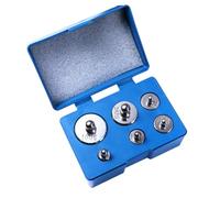 SMASOLO Juego de Pesas de Calibración para Báscula de 200 G Acero Galvanizado con Pinzas Kit de Pesas de Balanza M2 Uso Científico Comercial y Educativo