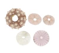 SMASOLO Maceta para Planta Aérea De Erizo De Mar Natural, Conjunto De 5 Piezas, Conchas Auténticas, Decoración para Mesa y Peceras, Planta Aérea y Manualidades Marinas