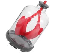 SMASOLO Modelo de Respiración Pulmonar para Enseñanza Herramienta Didáctica de Pulmón Simulación de Movimiento del Diafragma Modelo Anatómico Educativo para Aulas y Laboratorios