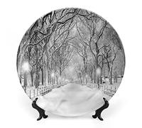 SMAZDFXX Plato decorativo de cerámica de gres invernal con paisaje de río nevado, árboles áridos y escarchados, Países Bajos, Europa, para mesa de comedor, recepción de boda y decoración navideña.